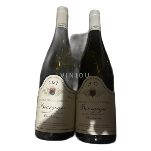 Bourgogne Domaine Odoul-Coquard 2022