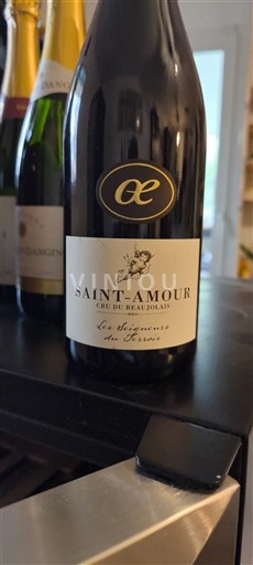 Beaujolais Saint-Amour Les Seigneurs du Terroir 2020