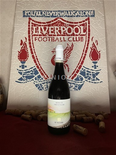 Venetia Le Aliane Merlot Trevenezie 2024
