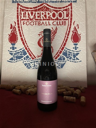 Puglia Vinuri din Puglia Torrevento Infinitum 2024