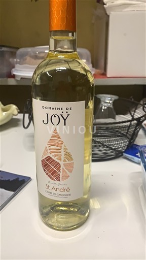 Sudoeste Côtes de Gascogne Domaine Joy St. André 2024