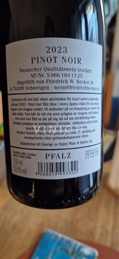 Pfalzul Palatinat Friedrich Becker 2023