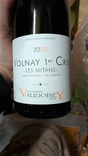 Burgundi Määrittelemätön Premier Cru Domaine Jean Vaudoisey Les Mitans 2022