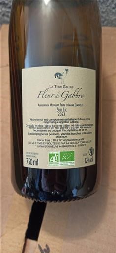 Valea Loarei Muscadet-Sèvre și Maine La Tour Gallus Fleur de Gabbro 2023