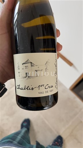 Burgundia Nespecificat Premier Cru Domaine Christophe et Fils Vau de Vey 2022