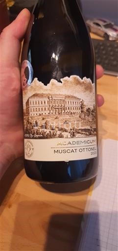 România Vinuri de înaltă calitate Academicum Muscat Ottonel 2023