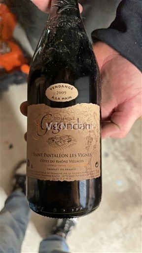 Valle del Ródano Côtes del Ródano Pueblos Domaine Gigondan 2009