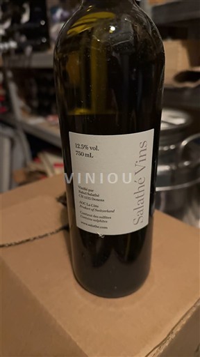 Vaud Salathé Vins 2024