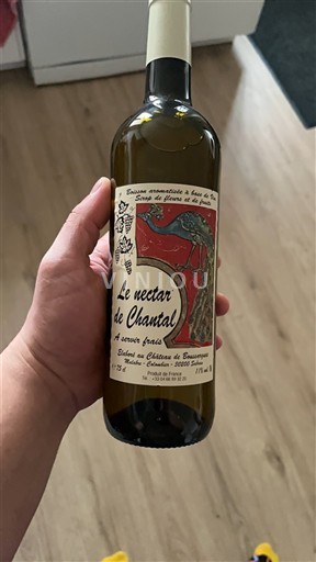 Sud-Vest Pacherenc-du-vic-bilh Château Boussargues Le nectar de Chantal Nemilésimat