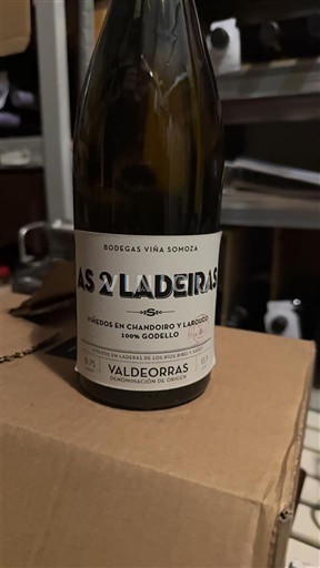 Galicia Valdeorras Bodegas Viña Somoza As 2 Ladeiras Nemilésimat