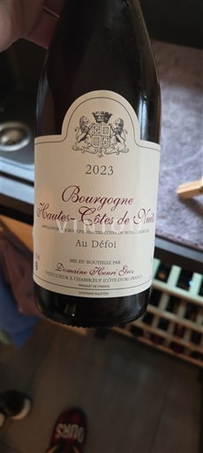Borgogna Non specificato Domaine Pierre Thibault Au Défoi 2023