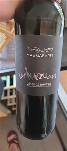 Languedoc și Roussillon Côtes de Thongue Mas Gabarel Anzon Nemilésimat