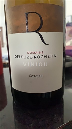 Languedoc și Roussillon Cévennes Domaine Deleuze-Rochetin Sorcier 2023