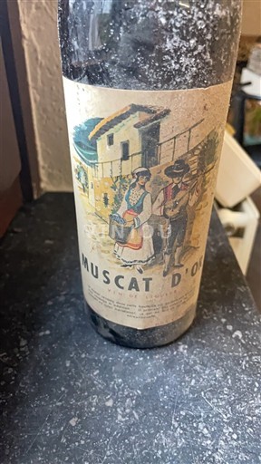 Languedoc Nespecificat Les Vignerons De Muscat Nemilésimat