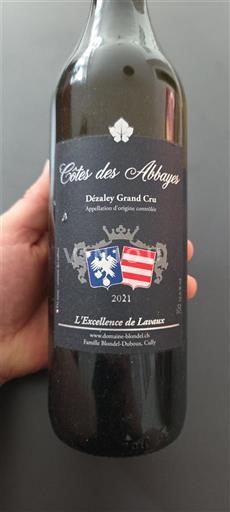 Vaud Dézaley Grand Cru Domaine Blondel Côte des Abbayes 2021