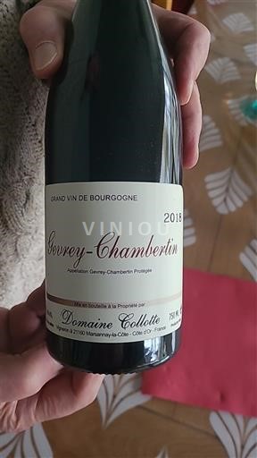 Burgundia Gevrey-Chambertin Domaine Collotte 2018