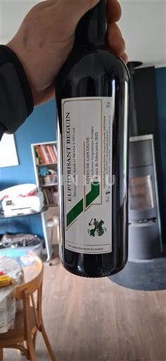 Sud-Vest Côtes de Gascogne Euphorisant Béguin 2023