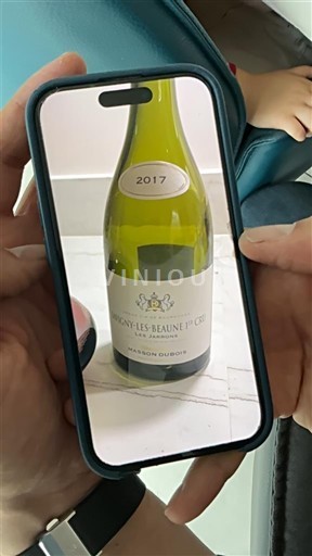 Burgundija Savigny-lès-beaune Premier Cru François Dubrion Les Epenots 2017