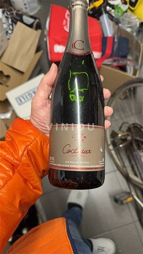 Valea Loarei Crémant de Loire Coteaux Les Bulles Rouges Nemilésimat