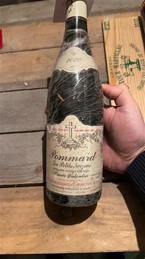 Bourgogne Pommard Domaine Rossignol-Février Père & Fils Les Petits Noizons 2020