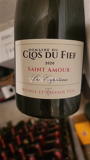 Beaujolais Saint-Amour Domaine Clos du Fief Les Capitans 2020
