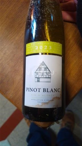 Alsacia Caves Pinot 2023