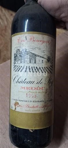 Bordeaux Médoc Château By 1995