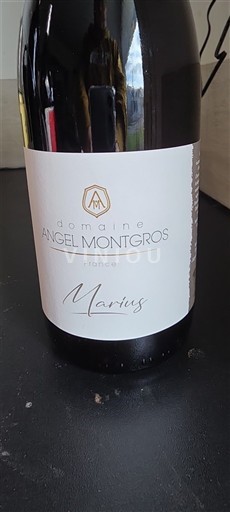 Languedoc Domaine Angel Montgros Martius 2021