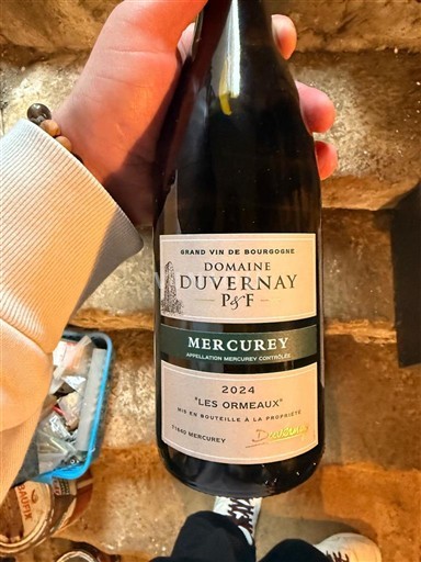 Burgundia Mercurey Domaine Duvernay Les Ormeaux 2024