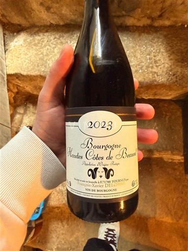 Burgundia Hautes Côtes de Beaune Domaine Frédéric-Xavier Delorme 2023