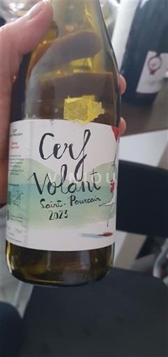 Valea Loarei Saint-Pourçain Cerf Volant 2023