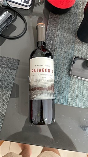 Patagonia Nespecificat Natura Huarpe Nemilésimat