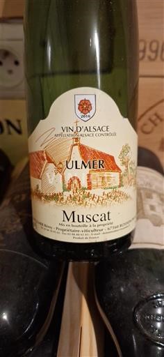 Alsacia Muscat Ulmer 2016