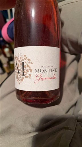 Valea Ronului Grignan-les-Adhémar Domaine Montine Gourmandise 2022