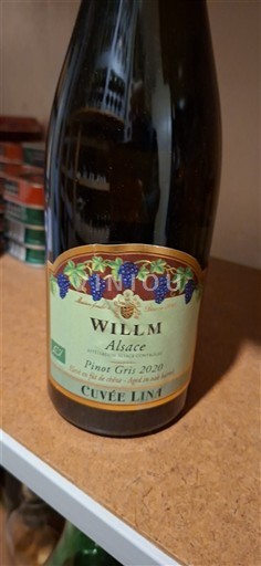Alsacia Pinot gri Willm Lina 2020