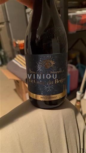 Languedoc și Roussillon Vin de Pays d'Oc Domaine Rouvioles Le Coteau du Berger 2020