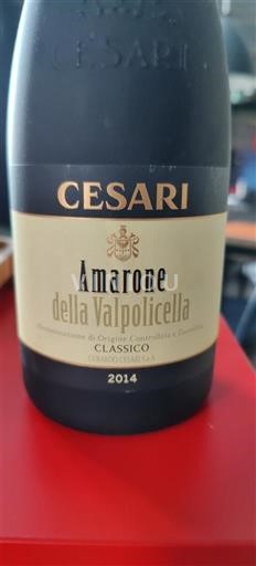 Venetia Amarone della Valpolicella Cesari Classico 2014