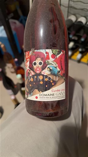 Languedoc Nespecificat Domaine Gainz Lino Nemilésimat