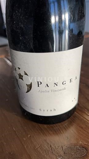 Valea Rapel Valea Colchagua Pangea Apalta Vineyards 2004