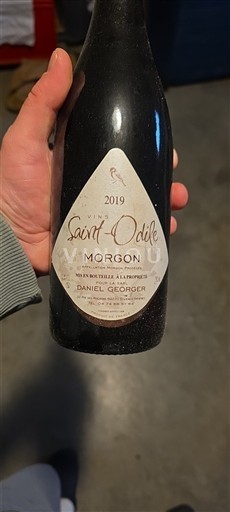 Beaujolais Morgon Daniel Georger Saint-Odile 2019