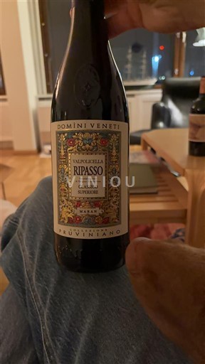 Venetia Nespecificat Domìni Veneti Ripasso Classico Superiore 2020