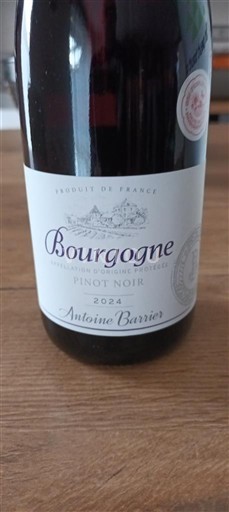 Burgundia Antoine Barrier 2024