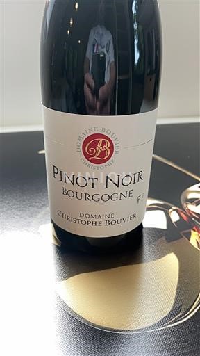 Burgundia Domaine Christophe Bouvier 2022