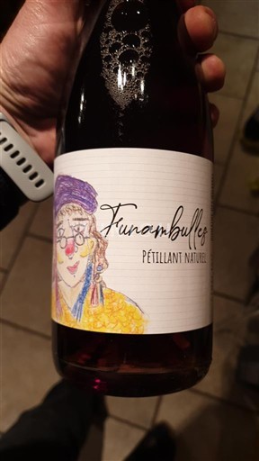 Valea Loarei Anjou-gamay Domaine Funambulles Domaine des quarres 2025 2025