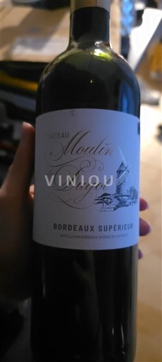 Bordeaux Bordeaux superior Château Moulin Bigot 2023