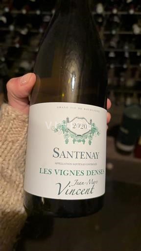 Burgundia Santenay Jean-Marc Vincent Les Vignes Denses 2020