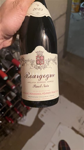 Bourgogne Domaine Rossignol-Février Père & Fils 2023