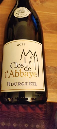 Valea Loarei Bourgueil Clos de l'Abbaye 2022