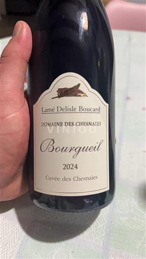 Valea Loarei Bourgueil Lamé Delisle Boucard des Chesnaies 2024