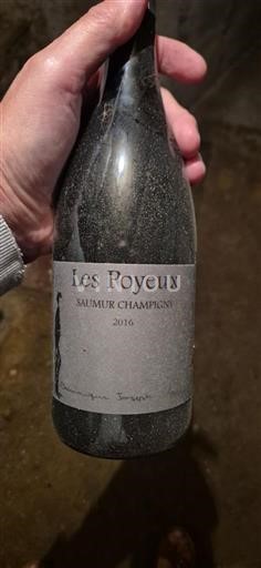 Valea Loarei Saumur-Champigny Domaine Roches Neuves Les Poyeux 2016